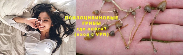 твердый Алексин