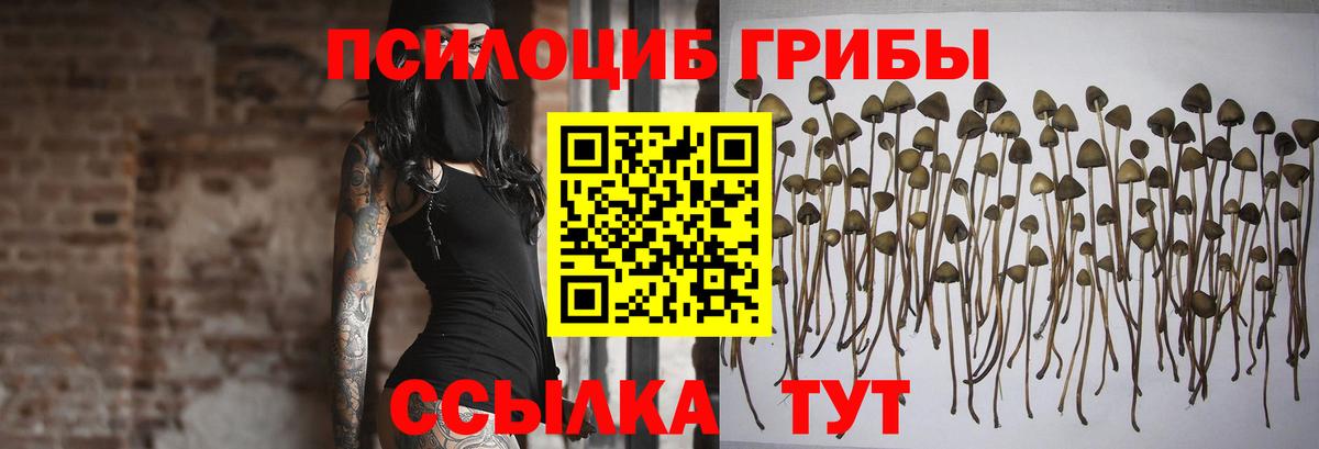 Псилоцибиновые грибы Psilocybe  Вход с VPN  Калач-на-Дону 