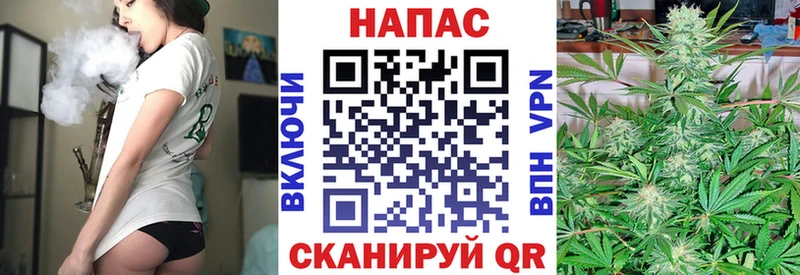 Бошки Шишки AK-47  OMG   Калач-на-Дону  как найти закладки 